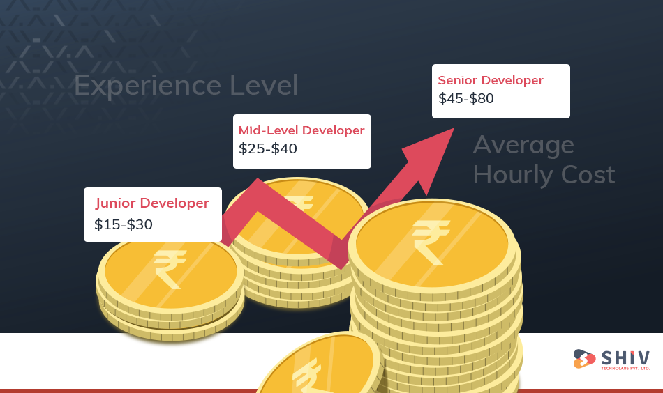 Shopify Plus Developer Cost