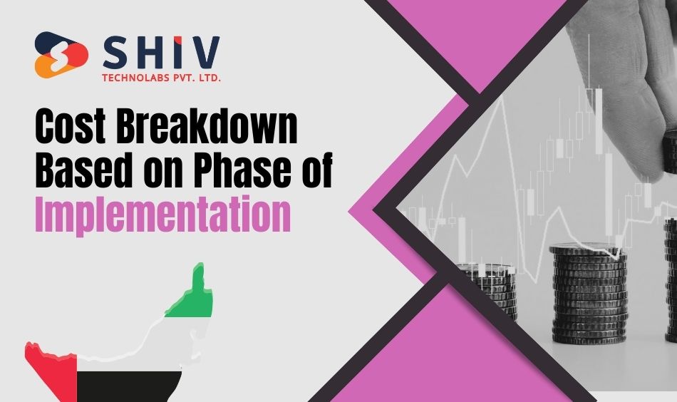 Cost Breakdown Based on Phase of Implementation