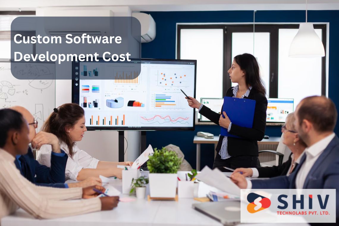 Custom Software Development Cost