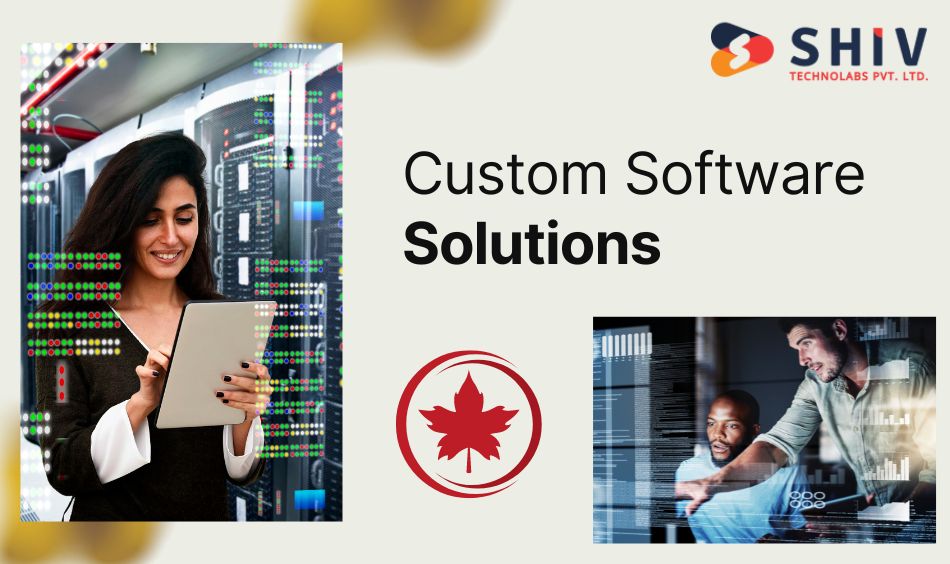 Different Types of Custom Software Solutions