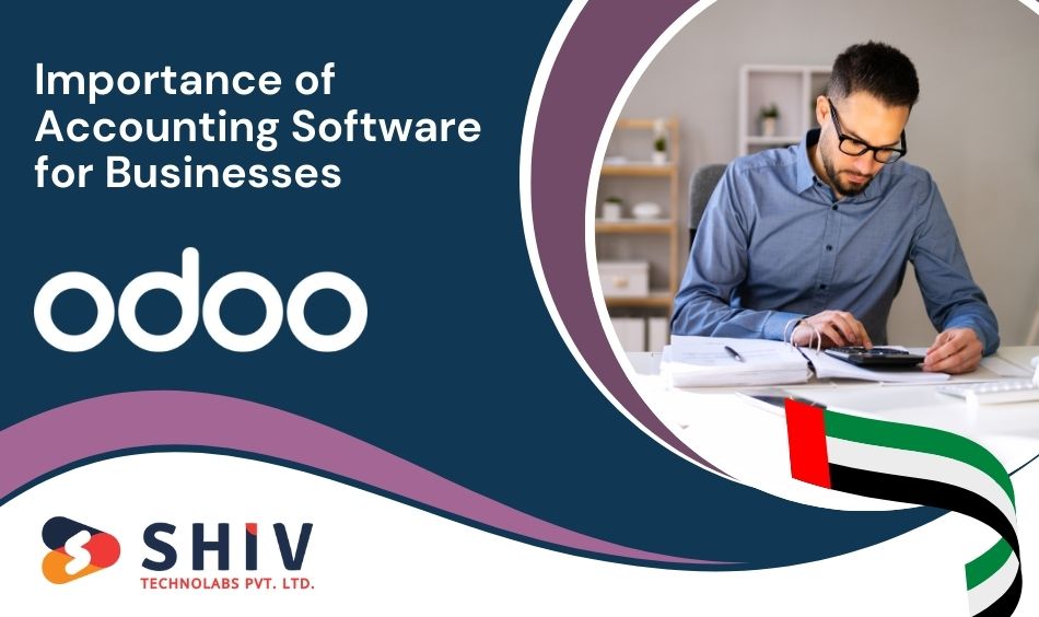 Importance of Accounting Software for Businesses