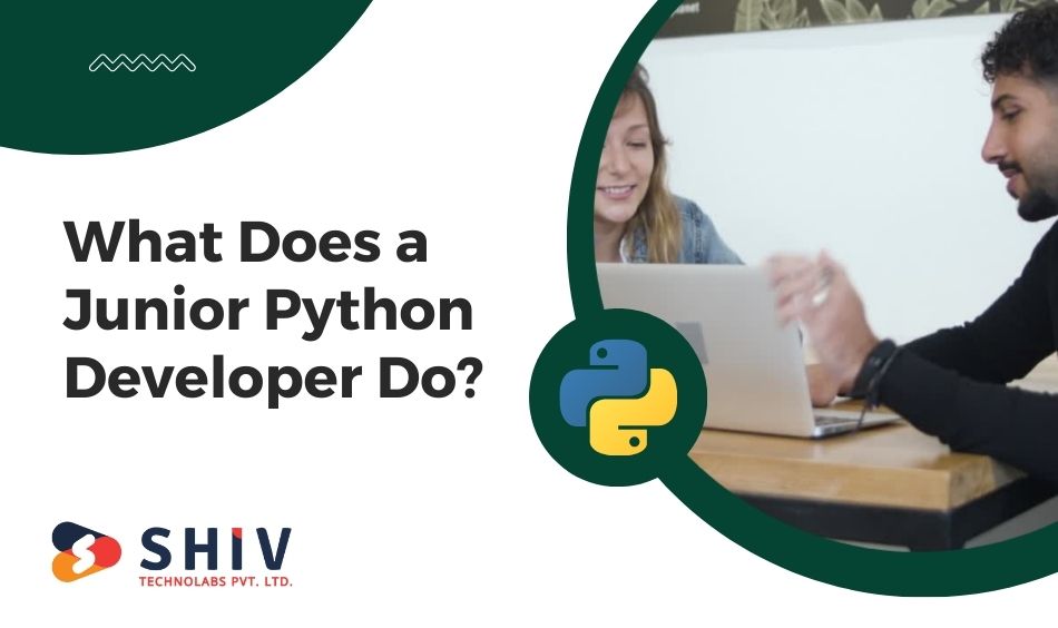 What Does a Junior Python Developer Do