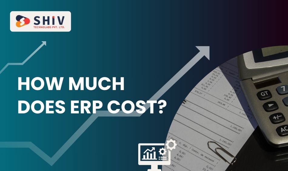 How Much Does ERP Cost