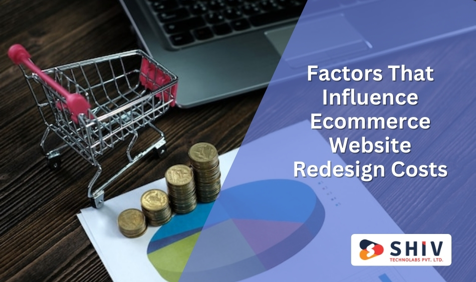 Factors That Influence Ecommerce Website Redesign Costs