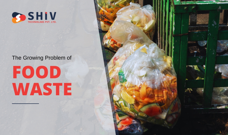 The Growing Problem of Food Waste