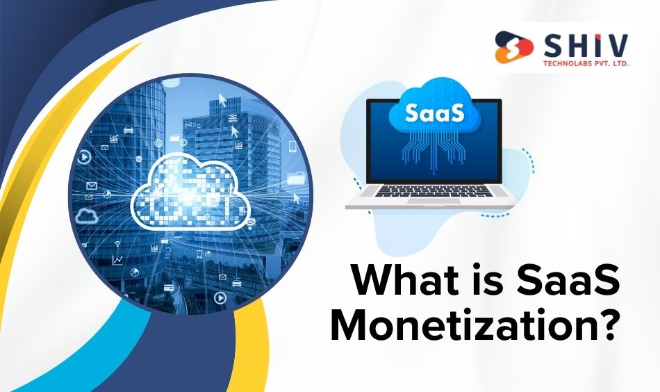 What is SaaS Monetization