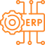 ERP & CRM Customization
