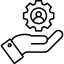 professional-customization