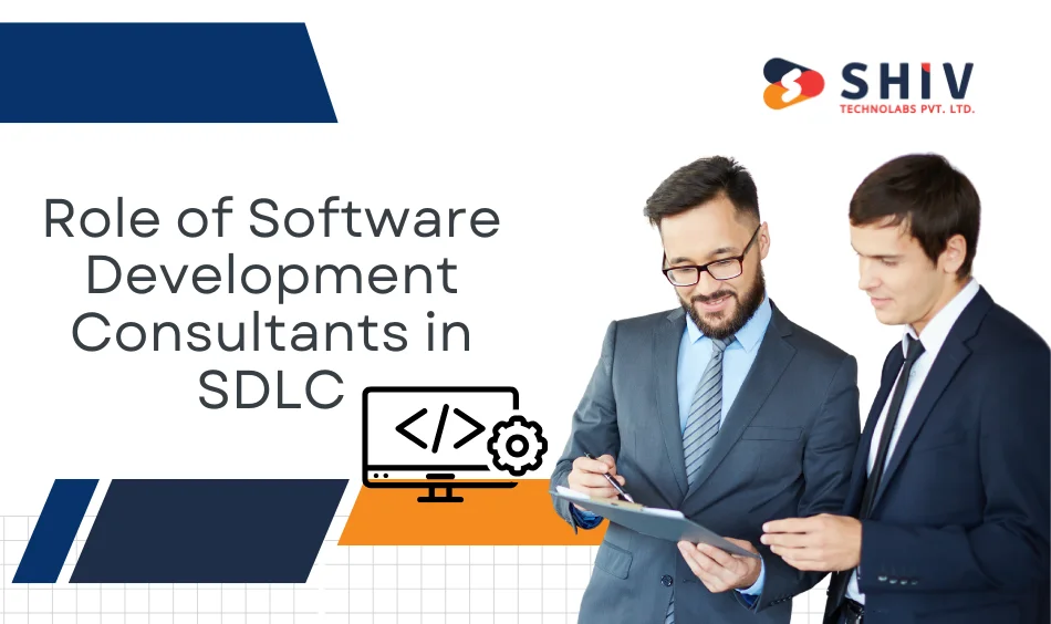 Role of Software Development Consultants in SDLC - Copy