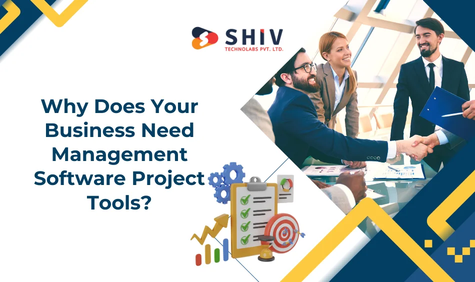 Why Does Your Business Need Management Software Project Tools