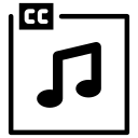 Multilingual audio and subtitles