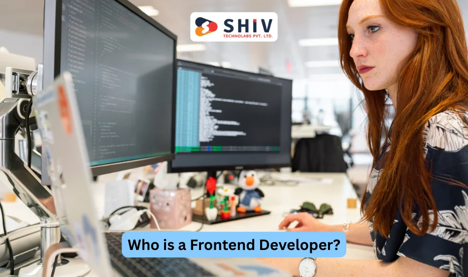 Who is a Frontend Developer