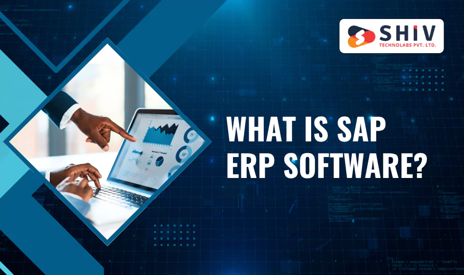 What is SAP ERP Software
