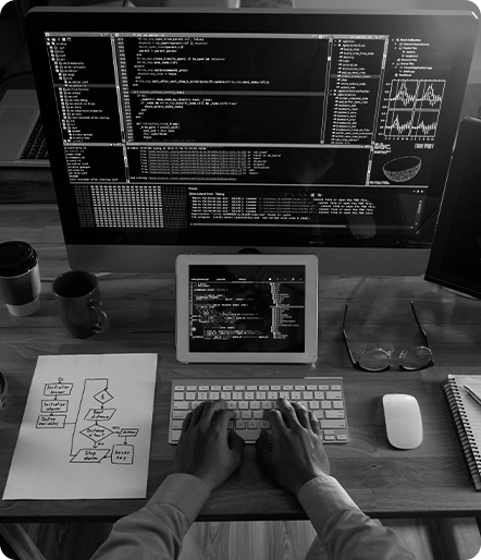 Software Development