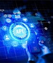 API & Data Integration