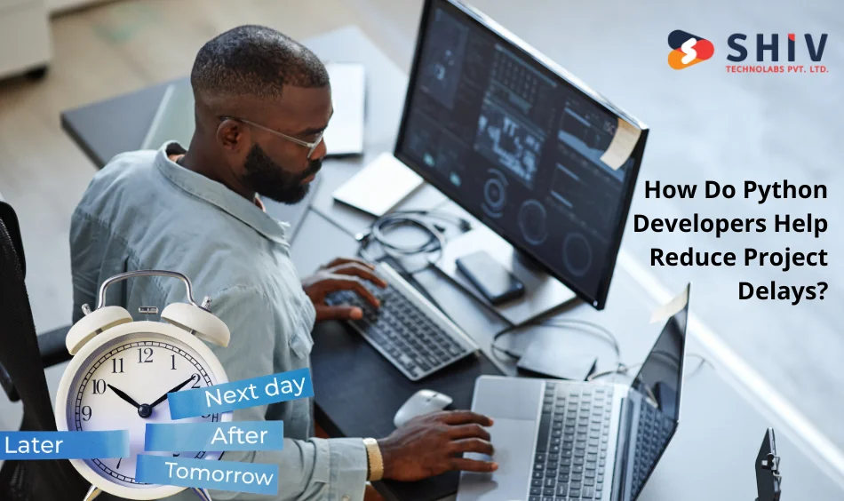 How Do Python Developers Help Reduce Project Delays
