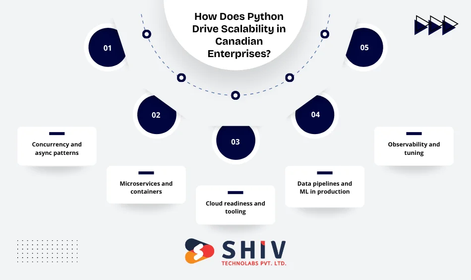 How Does Python Drive Scalability in Canadian Enterprises