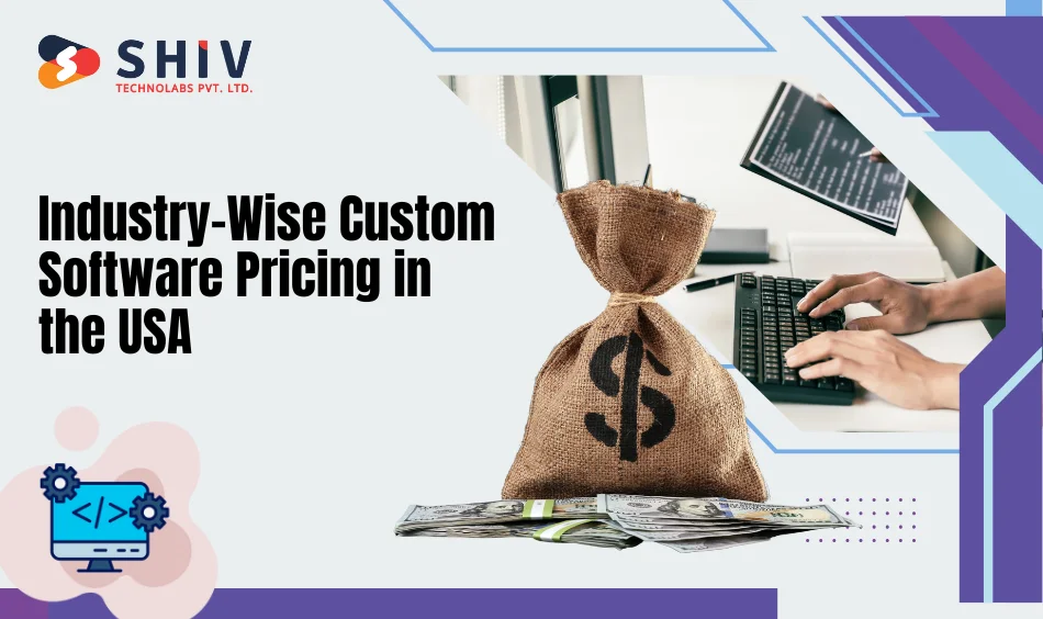 Industry-Wise Custom Software Pricing in the USA
