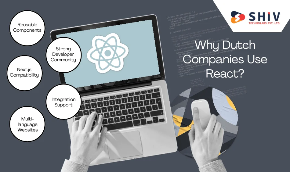 Why Dutch Companies Use React?